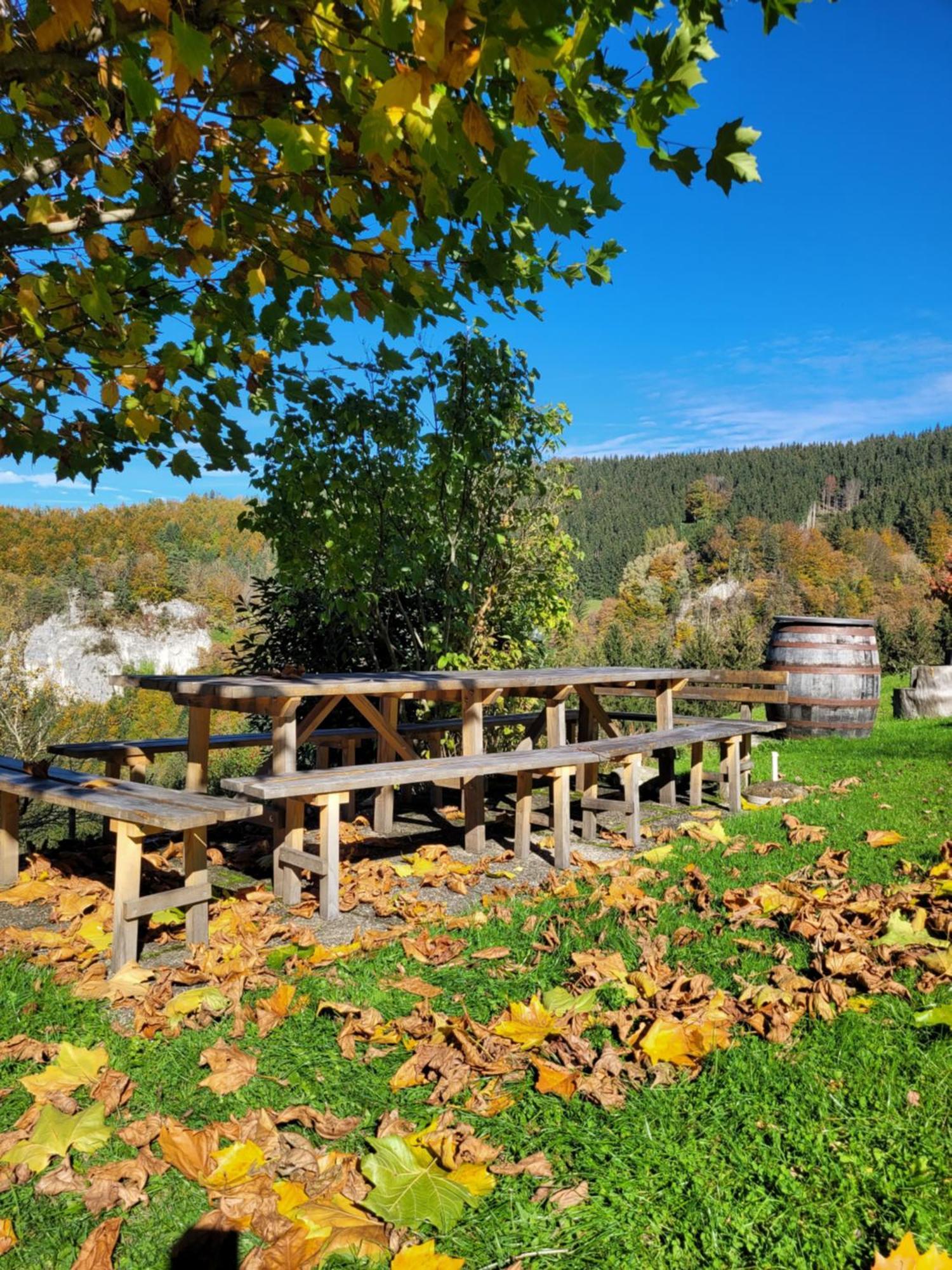 Kraeuterhof Miesrigl Villa Losenstein Eksteriør bilde