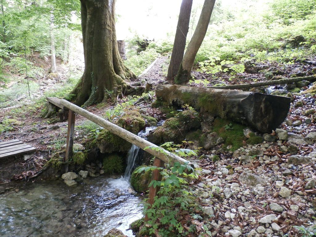 Kraeuterhof Miesrigl Villa Losenstein Eksteriør bilde