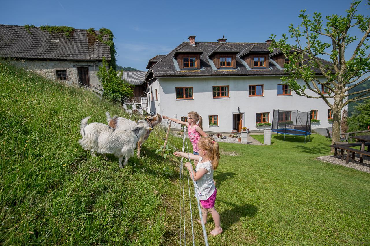 Kraeuterhof Miesrigl Villa Losenstein Eksteriør bilde